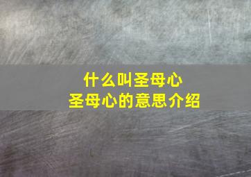 什么叫圣母心 圣母心的意思介绍